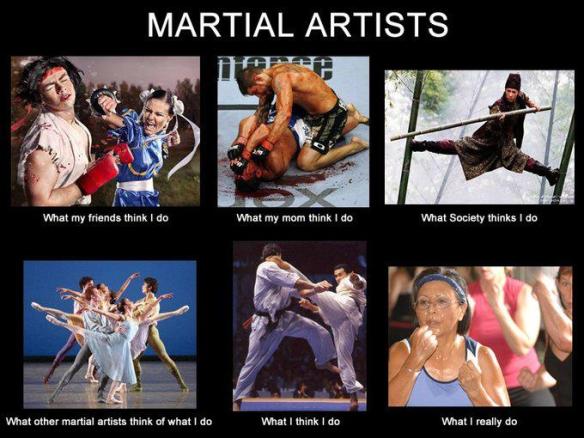Martial Arts Meme